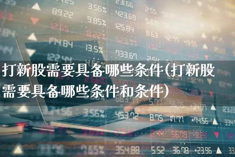 打新股需要具备哪些条件(打新股需要具备哪些条件和条件)_https://www.wanyuyiyao.com_深交所_第1张