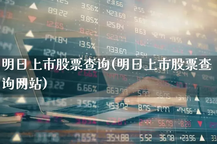 明日上市股票查询(明日上市股票查询网站)_https://www.wanyuyiyao.com_科创板_第1张
