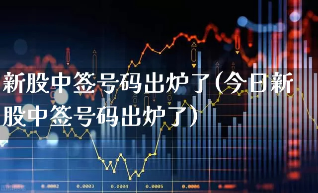 新股中签号码出炉了(今日新股中签号码出炉了)_https://www.wanyuyiyao.com_上交所_第1张