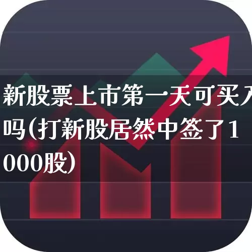 新股票上市第一天可买入吗(打新股居然中签了1000股)_https://www.wanyuyiyao.com_深交所_第1张