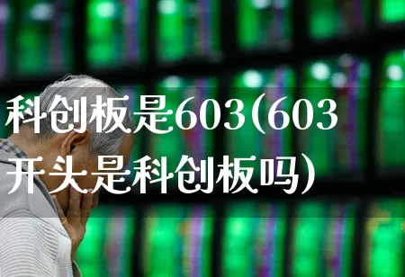 科创板是603(603开头是科创板吗)_https://www.wanyuyiyao.com_北交所_第1张
