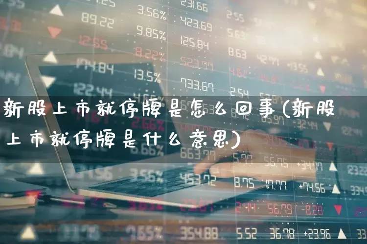 新股上市就停牌是怎么回事(新股上市就停牌是什么意思)_https://www.wanyuyiyao.com_深交所_第1张