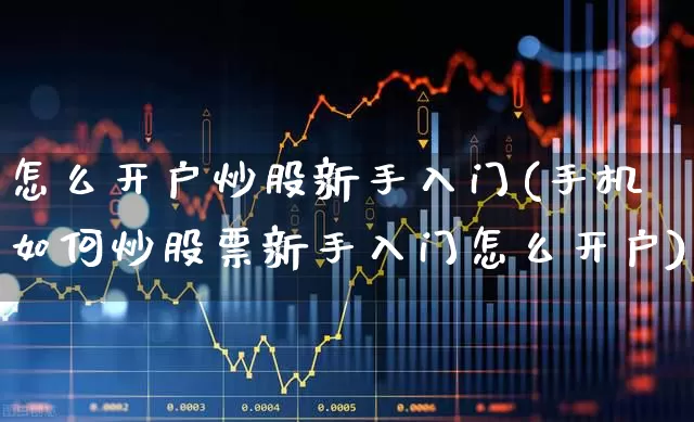 怎么开户炒股新手入门(手机如何炒股票新手入门怎么开户)_https://www.wanyuyiyao.com_上交所_第1张
