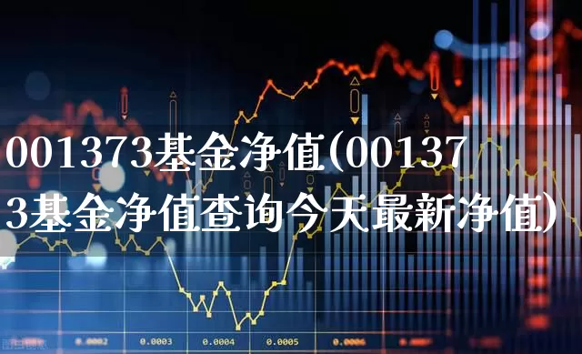001373基金净值(001373基金净值查询今天最新净值)_https://www.wanyuyiyao.com_上交所_第1张