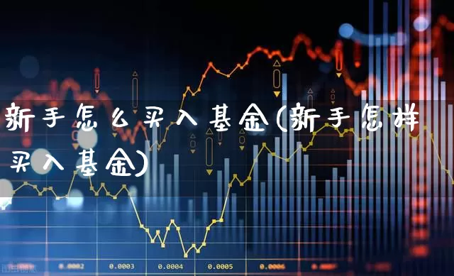新手怎么买入基金(新手怎样买入基金)_https://www.wanyuyiyao.com_上交所_第1张