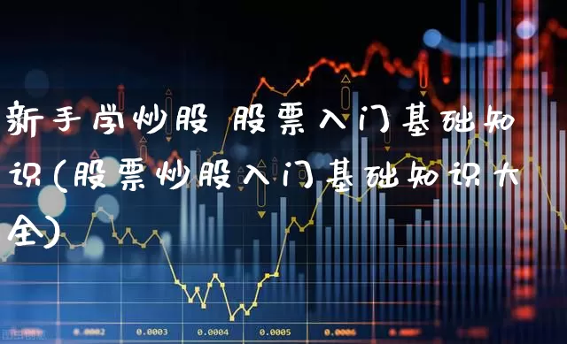 新手学炒股 股票入门基础知识(股票炒股入门基础知识大全)_https://www.wanyuyiyao.com_北交所_第1张