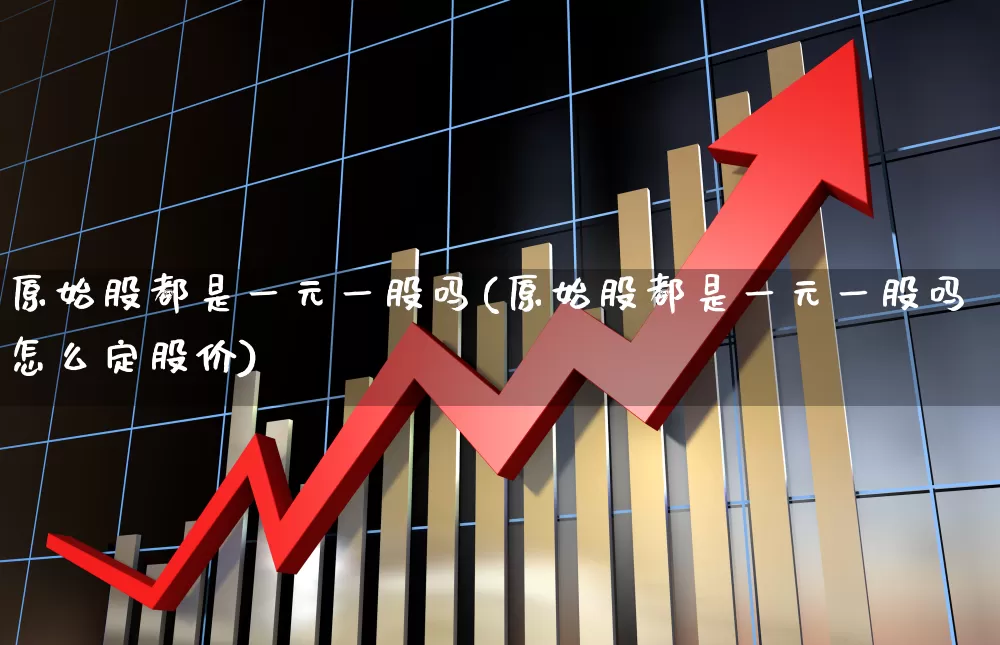 原始股都是一元一股吗(原始股都是一元一股吗怎么定股价)_https://www.wanyuyiyao.com_创业板_第1张