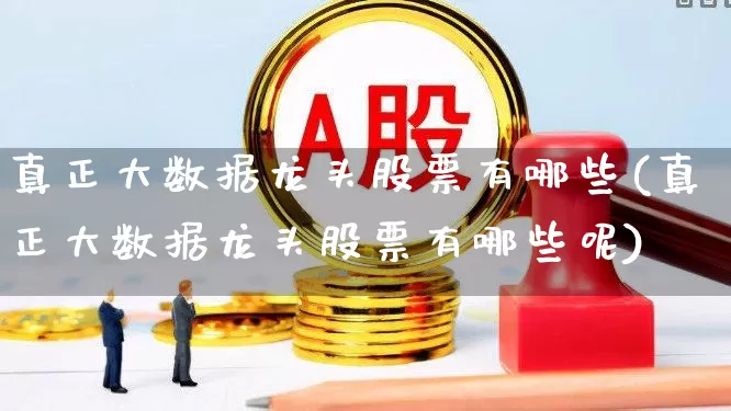 真正大数据龙头股票有哪些(真正大数据龙头股票有哪些呢)_https://www.wanyuyiyao.com_科创板_第1张