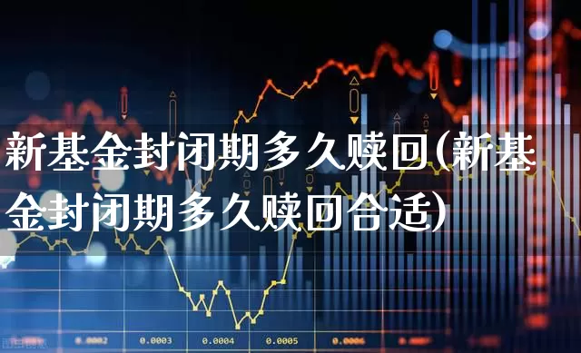 新基金封闭期多久赎回(新基金封闭期多久赎回合适)_https://www.wanyuyiyao.com_北交所_第1张