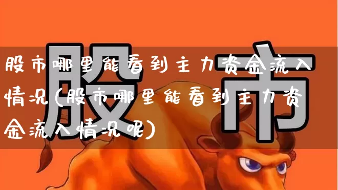 股市哪里能看到主力资金流入情况(股市哪里能看到主力资金流入情况呢)_https://www.wanyuyiyao.com_上交所_第1张