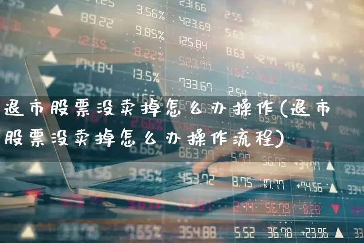退市股票没卖掉怎么办操作(退市股票没卖掉怎么办操作流程)_https://www.wanyuyiyao.com_创业板_第1张