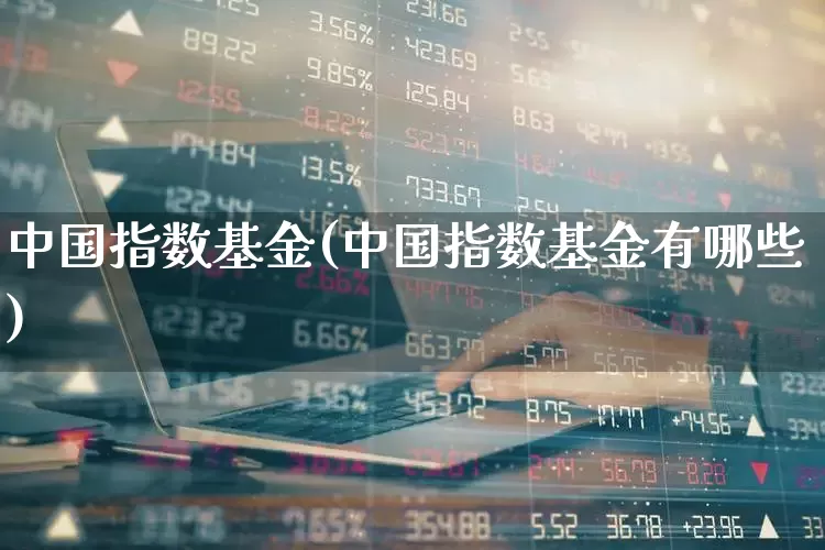 中国指数基金(中国指数基金有哪些)_https://www.wanyuyiyao.com_科创板_第1张