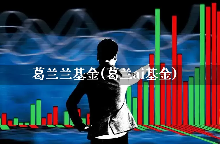 葛兰兰基金(葛兰ai基金)_https://www.wanyuyiyao.com_科创板_第1张
