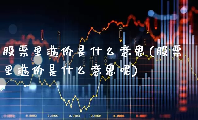 股票里溢价是什么意思(股票里溢价是什么意思呢)_https://www.wanyuyiyao.com_上交所_第1张