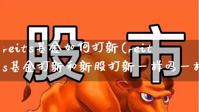 reits基金如何打新(reits基金打新和新股打新一样吗一样)_https://www.wanyuyiyao.com_上交所_第1张