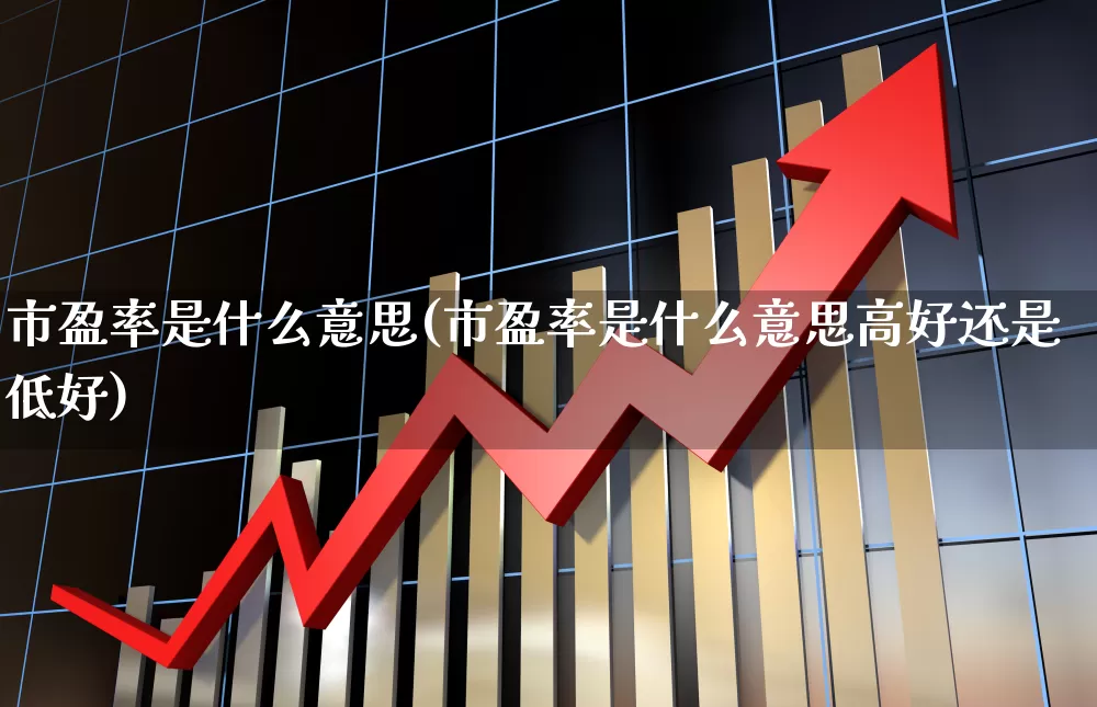 市盈率是什么意思(市盈率是什么意思高好还是低好)_https://www.wanyuyiyao.com_创业板_第1张