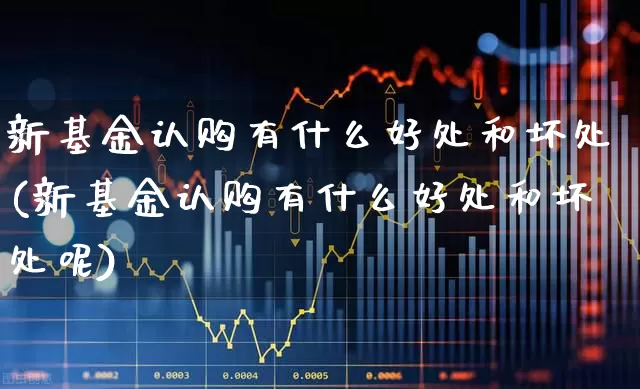 新基金认购有什么好处和坏处(新基金认购有什么好处和坏处呢)_https://www.wanyuyiyao.com_上交所_第1张