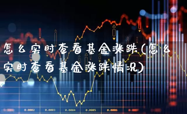 怎么实时查看基金涨跌(怎么实时查看基金涨跌情况)_https://www.wanyuyiyao.com_科创板_第1张