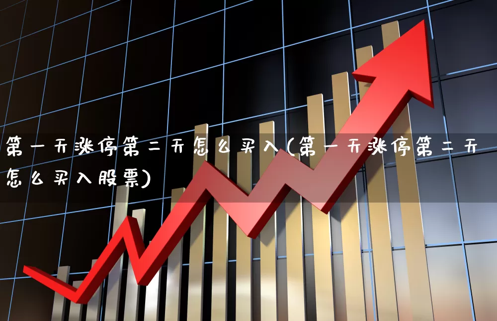 第一天涨停第二天怎么买入(第一天涨停第二天怎么买入股票)_https://www.wanyuyiyao.com_北交所_第1张
