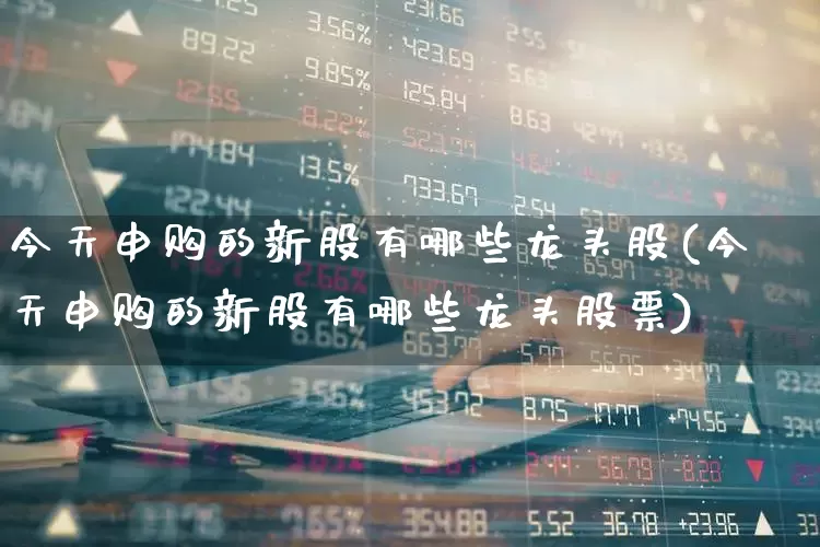 今天申购的新股有哪些龙头股(今天申购的新股有哪些龙头股票)_https://www.wanyuyiyao.com_北交所_第1张