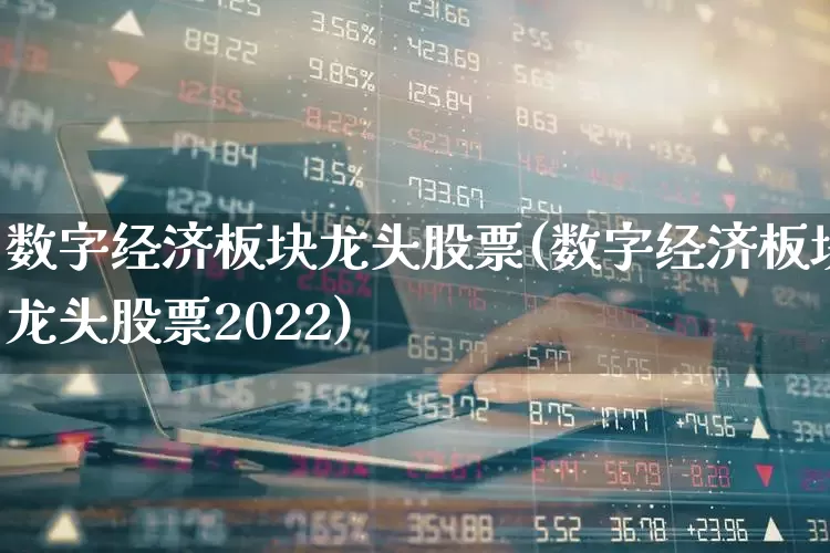 数字经济板块龙头股票(数字经济板块龙头股票2022)_https://www.wanyuyiyao.com_上交所_第1张