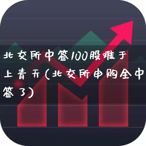 北交所中签100股难于上青天(北交所申购全中签了)_https://www.wanyuyiyao.com_深交所_第1张