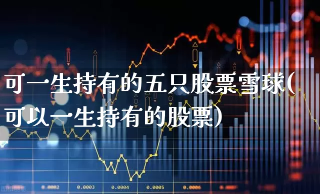 可一生持有的五只股票雪球(可以一生持有的股票)_https://www.wanyuyiyao.com_创业板_第1张