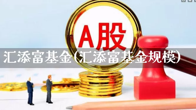 汇添富基金(汇添富基金规模)_https://www.wanyuyiyao.com_创业板_第1张