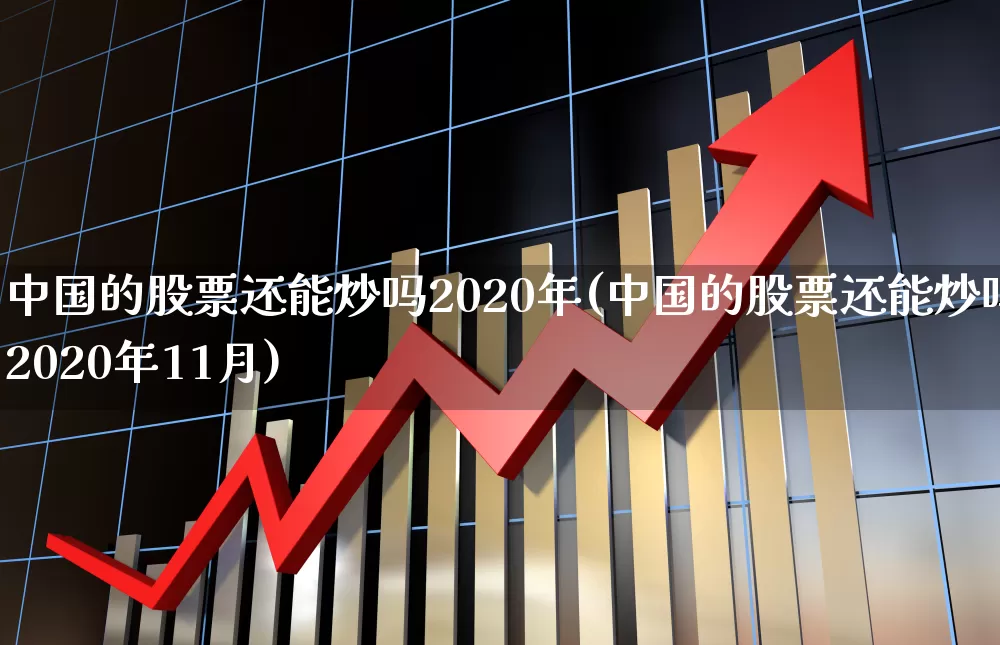 中国的股票还能炒吗2020年(中国的股票还能炒吗2020年11月)_https://www.wanyuyiyao.com_上交所_第1张