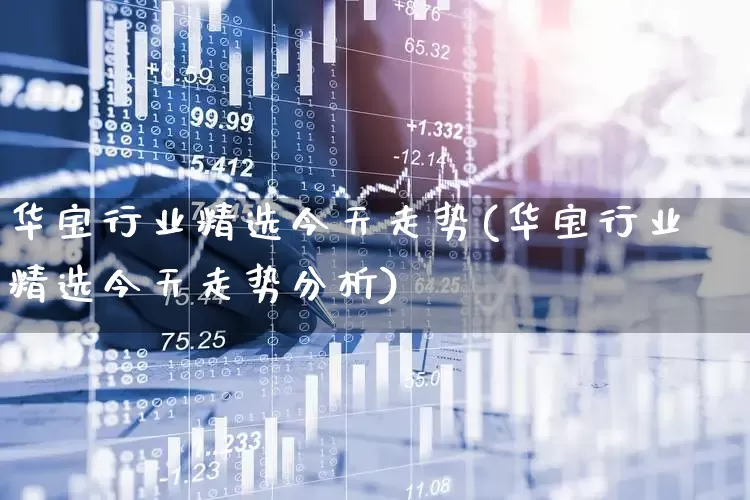 华宝行业精选今天走势(华宝行业精选今天走势分析)_https://www.wanyuyiyao.com_科创板_第1张