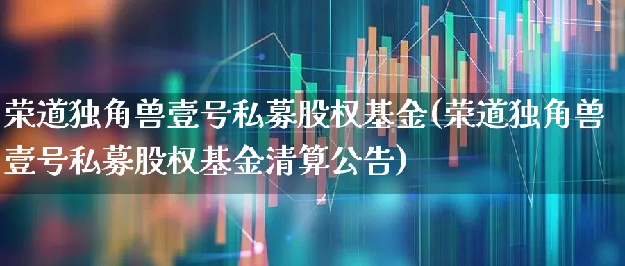荣道独角兽壹号私募股权基金(荣道独角兽壹号私募股权基金清算公告)_https://www.wanyuyiyao.com_科创板_第1张