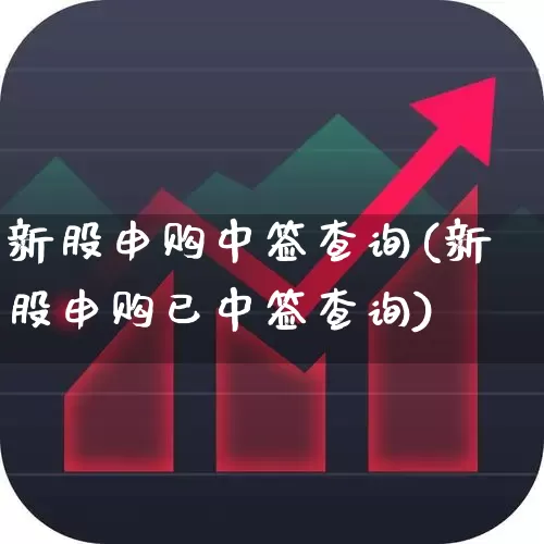 新股申购中签查询(新股申购已中签查询)_https://www.wanyuyiyao.com_创业板_第1张