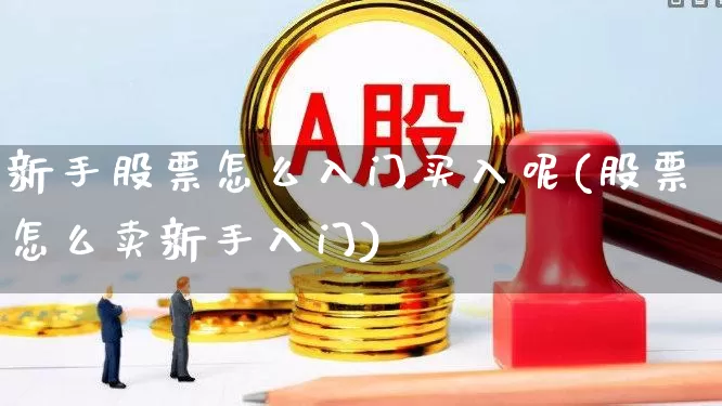 新手股票怎么入门买入呢(股票怎么卖新手入门)_https://www.wanyuyiyao.com_深交所_第1张