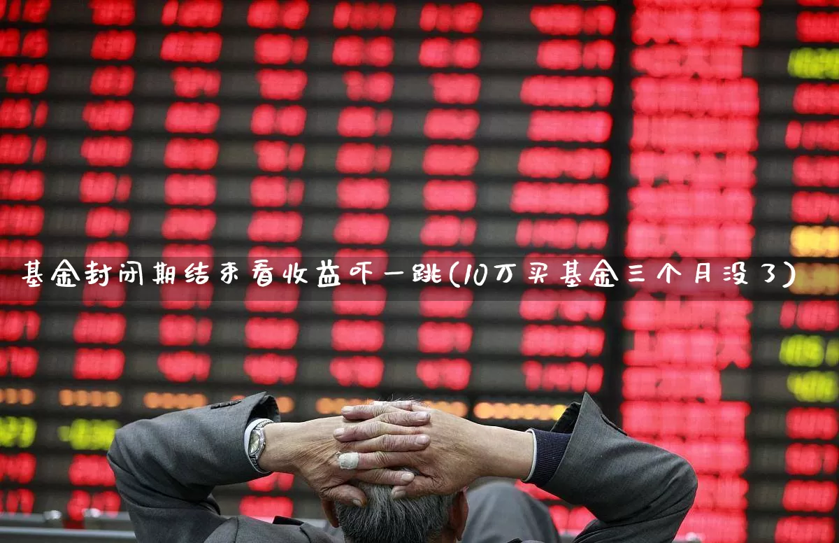 基金封闭期结束看收益吓一跳(10万买基金三个月没了)_https://www.wanyuyiyao.com_上交所_第1张