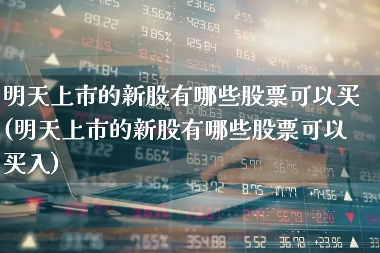 明天上市的新股有哪些股票可以买(明天上市的新股有哪些股票可以买入)_https://www.wanyuyiyao.com_科创板_第1张