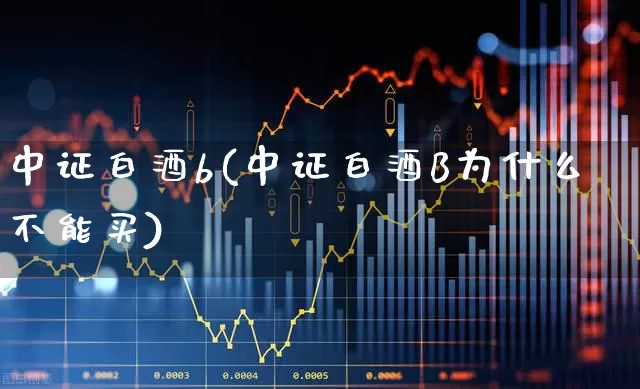 中证白酒b(中证白酒B为什么不能买)_https://www.wanyuyiyao.com_北交所_第1张
