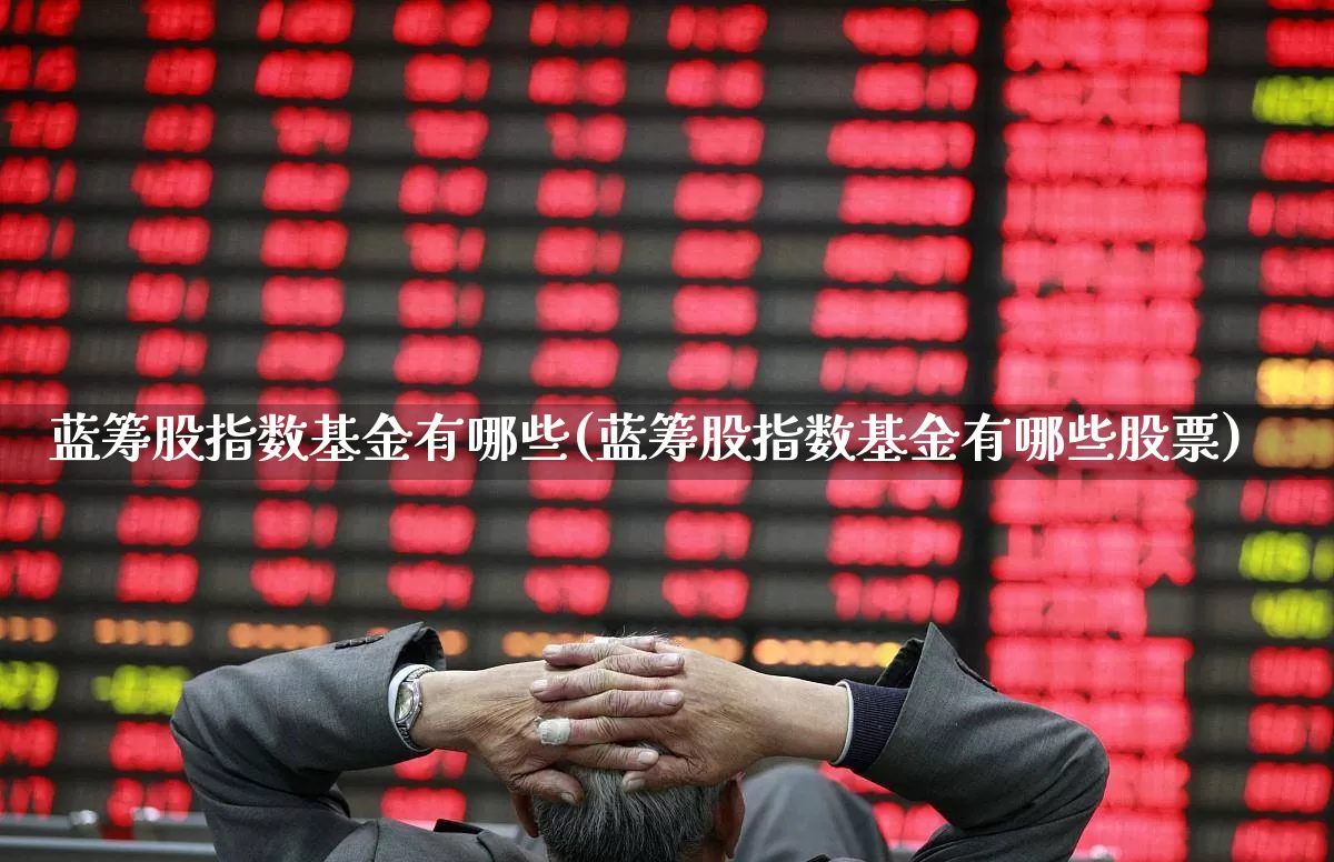 蓝筹股指数基金有哪些(蓝筹股指数基金有哪些股票)_https://www.wanyuyiyao.com_创业板_第1张