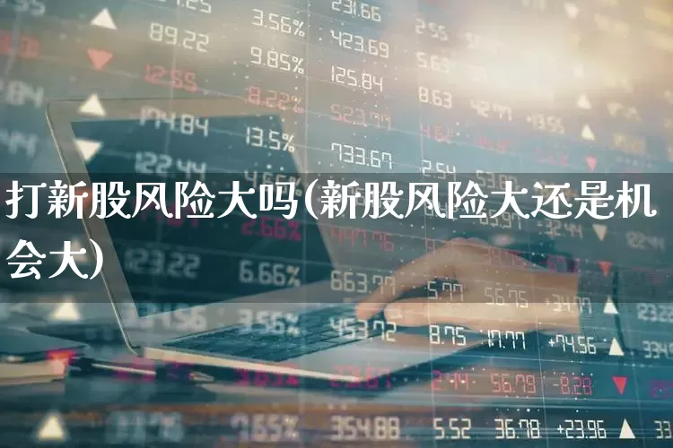 打新股风险大吗(新股风险大还是机会大)_https://www.wanyuyiyao.com_深交所_第1张