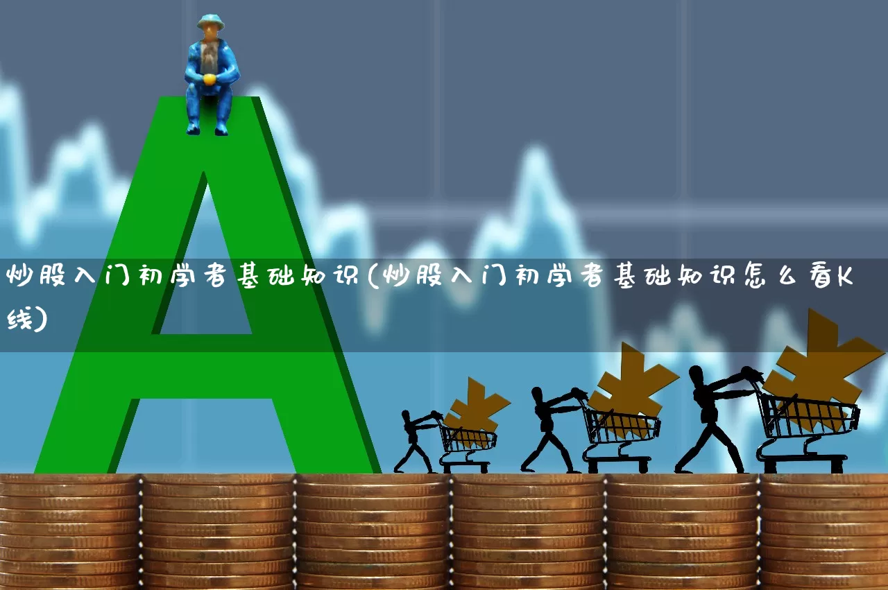 炒股入门初学者基础知识(炒股入门初学者基础知识怎么看K线)_https://www.wanyuyiyao.com_深交所_第1张