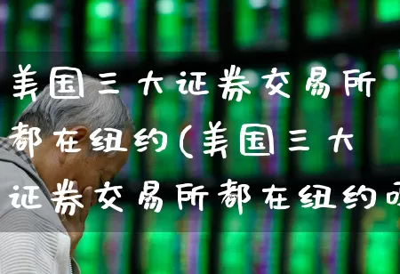 美国三大证券交易所都在纽约(美国三大证券交易所都在纽约吗)_https://www.wanyuyiyao.com_创业板_第1张