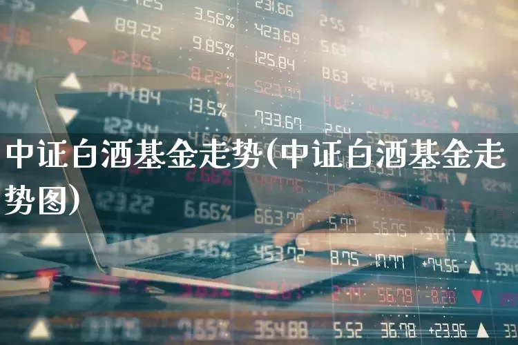中证白酒基金走势(中证白酒基金走势图)_https://www.wanyuyiyao.com_创业板_第1张
