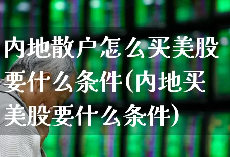 内地散户怎么买美股要什么条件(内地买美股要什么条件)_https://www.wanyuyiyao.com_科创板_第1张