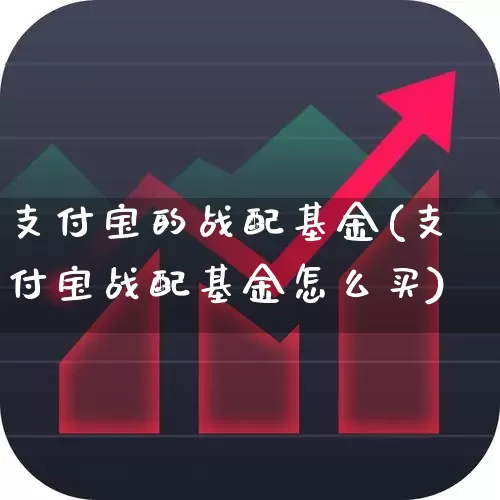 支付宝的战配基金(支付宝战配基金怎么买)_https://www.wanyuyiyao.com_创业板_第1张