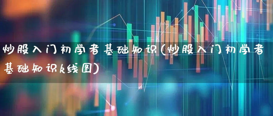 炒股入门初学者基础知识(炒股入门初学者基础知识k线图)_https://www.wanyuyiyao.com_上交所_第1张