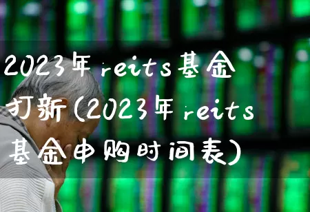 2023年reits基金 打新(2023年reits基金申购时间表)_https://www.wanyuyiyao.com_北交所_第1张