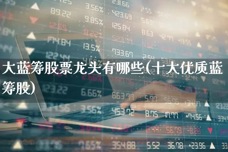 大蓝筹股票龙头有哪些(十大优质蓝筹股)_https://www.wanyuyiyao.com_北交所_第1张