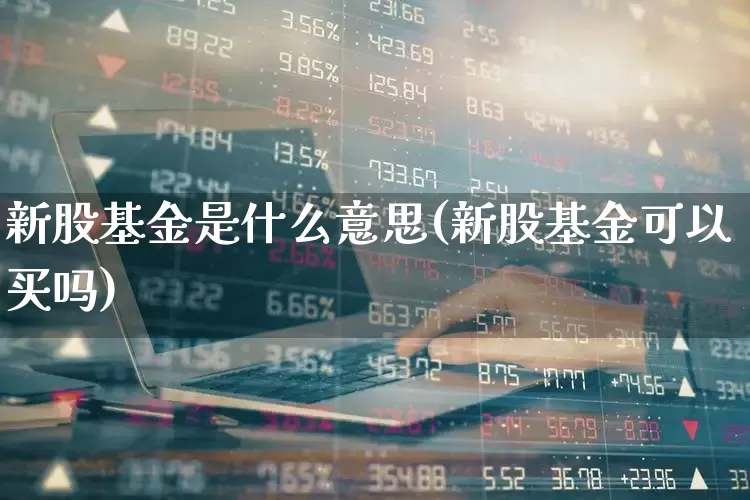 新股基金是什么意思(新股基金可以买吗)_https://www.wanyuyiyao.com_深交所_第1张