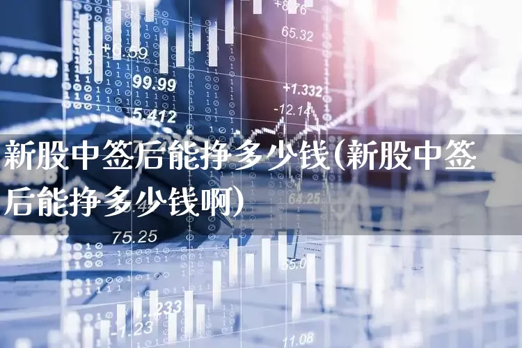 新股中签后能挣多少钱(新股中签后能挣多少钱啊)_https://www.wanyuyiyao.com_创业板_第1张