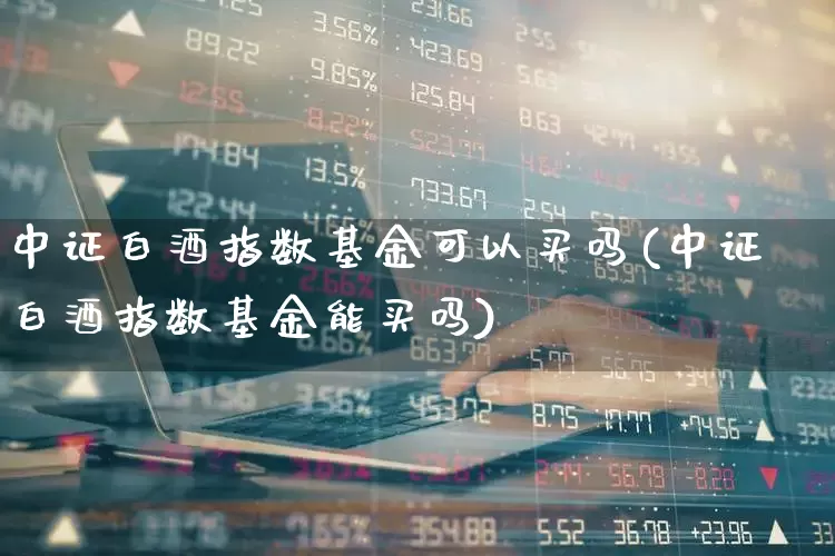 中证白酒指数基金可以买吗(中证白酒指数基金能买吗)_https://www.wanyuyiyao.com_科创板_第1张
