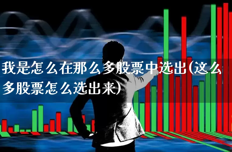 我是怎么在那么多股票中选出(这么多股票怎么选出来)_https://www.wanyuyiyao.com_上交所_第1张